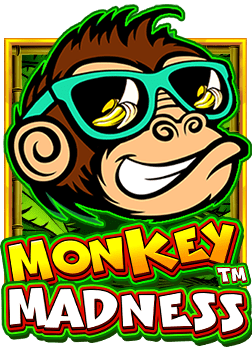 ทำความรู้จักกับ joker slot z เกมสนุกที่ไม่ควรพลาด